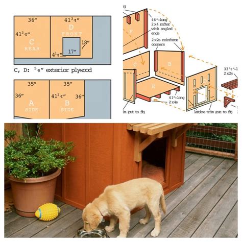 14 DIY Dog Houses: How to Build a Dog House (Plans + Blueprints)