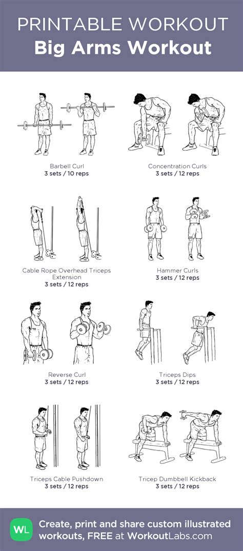 Big Arms Workout | Big arm workout, Printable workouts, Arm workout