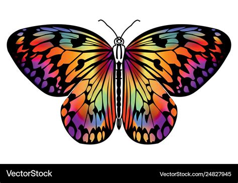 Images Of Colorful Butterfly Drawing