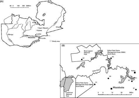 Map of Zambia showing (A) the Kafue River Basin and the Kafue Wetlands... | Download Scientific ...