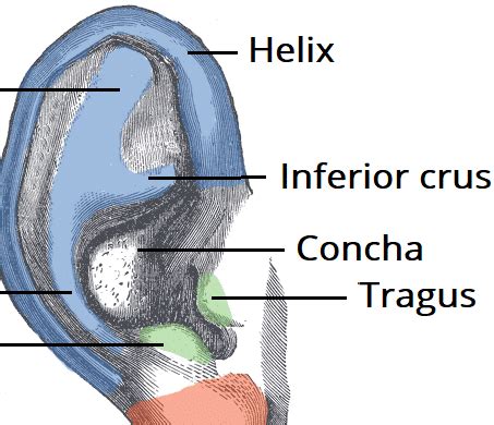 Otitis Externa - Causes - Clinical Features - Management - TeachMeSurgery