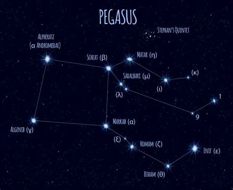 Pegasus Constellation Stars: Names, Location, Distance, Story