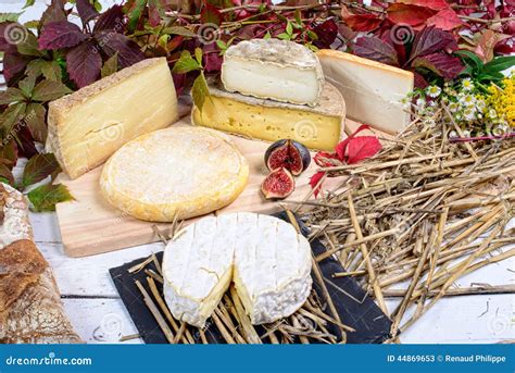 French Cheese Platter Stock Photo - Image: 44869653