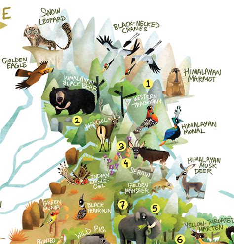 Green Humour: The Wildlife Map of India