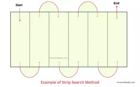 Strip (Lane) Search Pattern: Procedure, Usage [& Examples]