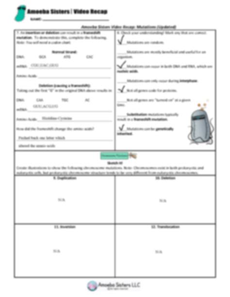 SOLUTION: Amoeba Sisters Mutations Updated Worksheet - Studypool