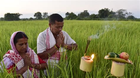 Kati Bihu 2023: Wishes, Messages, and How the Harvest Festival is ...