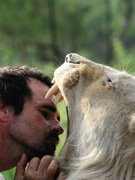 Meet Kevin Richardson: The Lion Whisperer | Kevin richardson, Animals wild, Big animals