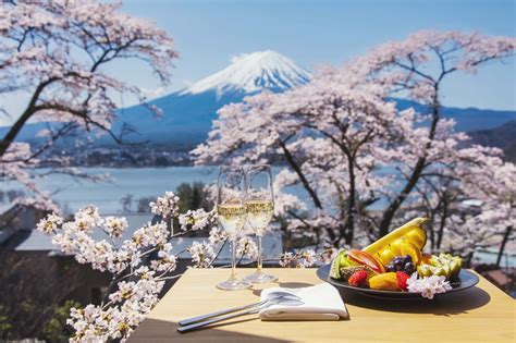 The Best Way To See Japan's Cherry Blossoms? Glamping At Hoshinoya Fuji ...