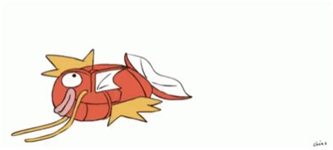 Pokemon Magikarp GIF - Pokemon Magikarp - Discover & Share GIFs