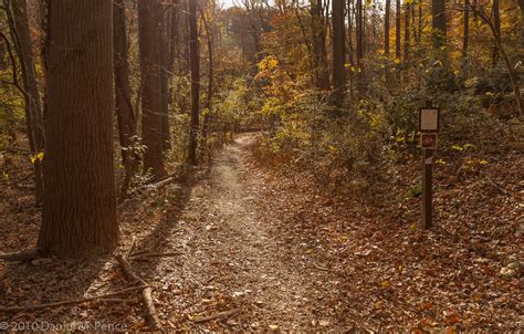 Rock Creek Park – Fall Colors | Dan Pence Photography