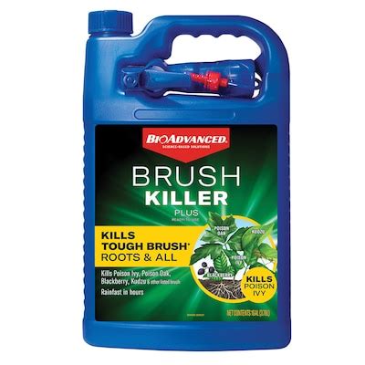 Brush killer Dandelions Weed Killers & Preventers at Lowes.com