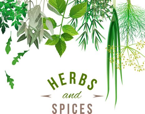 Spices Logo Vector at Vectorified.com | Collection of Spices Logo ...