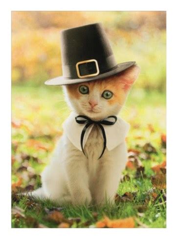 Thanksgiving Greeting Cards For Cat Lovers! – Meow As Fluff