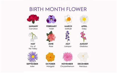 List Of Flowers For Birthday Months | Best Flower Site