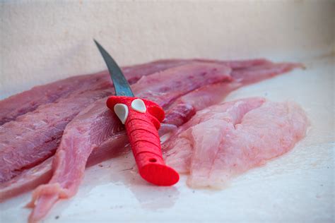 Preserve Your Catch-Homemade Vacuum Sealer — Into the Blue Fishing Blog