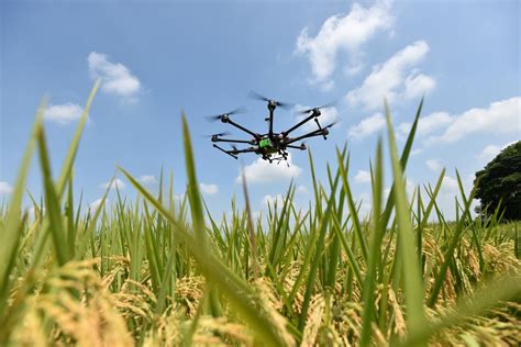 Crop-Monitoring Drone [IMAGE] | EurekAlert! Science News Releases