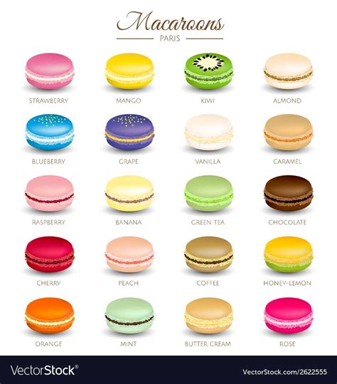 Colorful macaroons flavors vector image on VectorStock | Macaroons ...