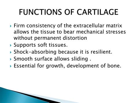 PPT - CARTILAGE PowerPoint Presentation, free download - ID:2110122