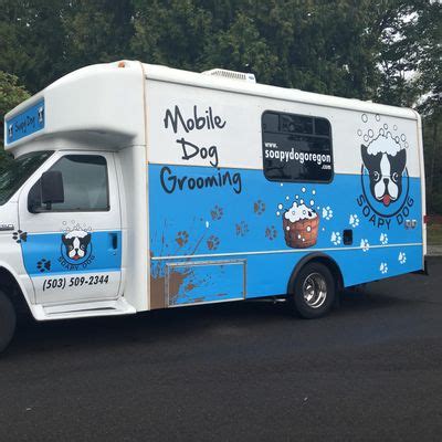 The 10 Best Mobile Dog Groomers in McMinnville, OR 2020