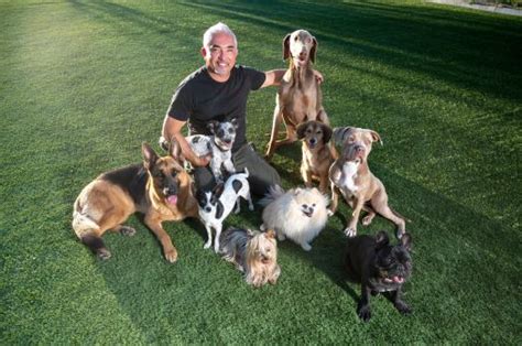 ‘Dog Whisperer’ Cesar Millan says if you want a better behaved dog, be a better human – News-Herald