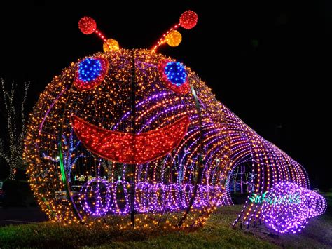 Winter Lights - The North Carolina Arboretum