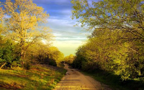 Download mobile wallpaper: Puddles, Country, Ukraine, Bumps, Countryside, Carpathians, Rain ...