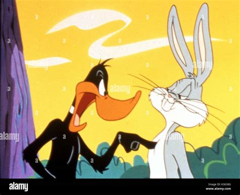 Daffy Duck And Bugs Bunny Rabbit Season