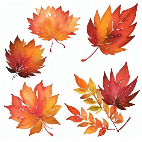 Watercolor Fall Leaves Clipart 29999470 Stock Photo at Vecteezy