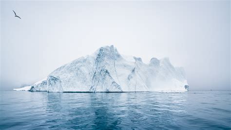 Canadian Icebergs May Be Floating In Your Cocktail On Your Next Visit