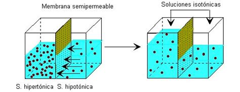 Propiedades coligativas: Presión Osmotica