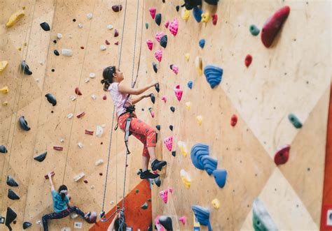 5+ Awesome Benefits of Having an Indoor Climbing Wall for Your Kids ...