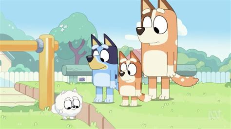 Bluey: ABC kids’ TV show making parents feel inadequate | The West ...