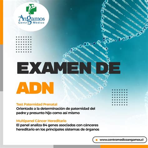 Examen de ADN – Centro Médico Angamos