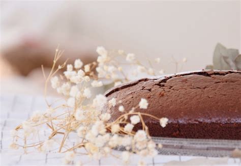 Vegan Chocolate Mousse Cake - Real Recipes from Mums