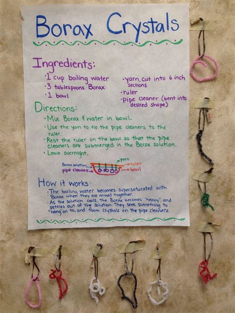 Borax crystals science experiment. | girls stuff | Pinterest