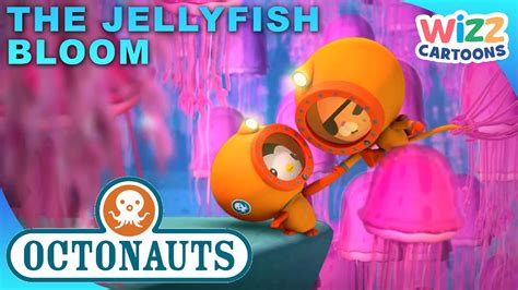 @Octonauts - The Jellyfish Bloom 🪸 | Series 1 | Full Episode 36 | @WizzCartoons - YouTube