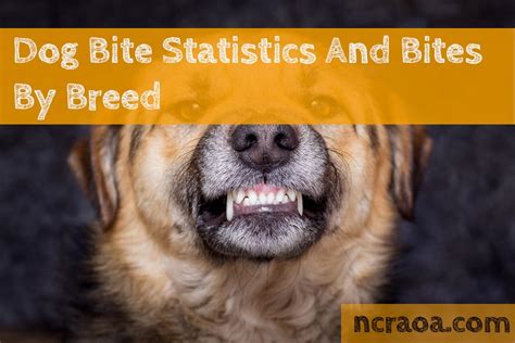 Dog Bite Statistics And Bites By Breed | NCRAOA