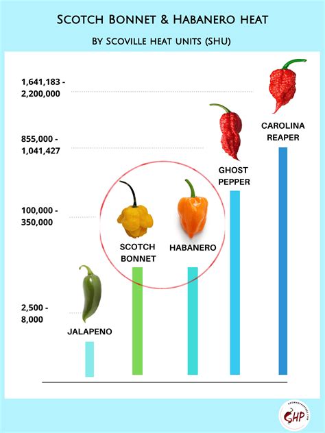 Scotch Bonnet Vs Habanero: Revealing 3 Key Differences In This Spicy ...