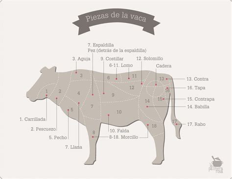 ¿Conoces las partes de la vaca y las mejores maneras de cocinarlas?