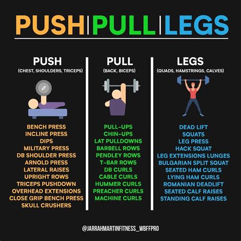 Push pull legs weight training workout schedule for 7 days – Artofit