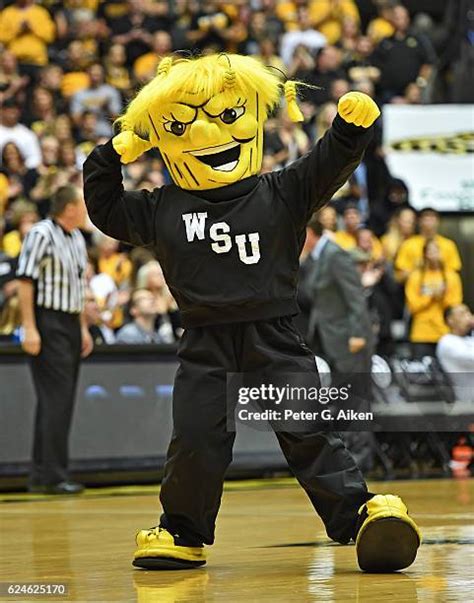 Hurricane Mascot Photos and Premium High Res Pictures - Getty Images