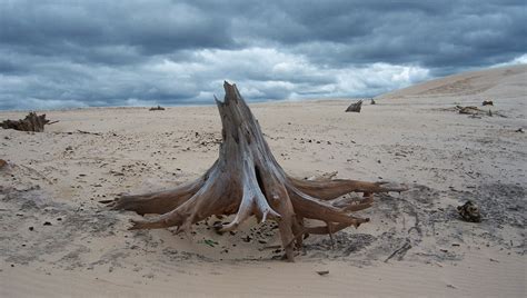 Silver Lake Sand Dunes Guide | Around Michigan