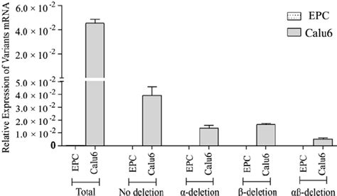 Real-time RT-PCR data. The analysis of RT-PCR data showed no expression... | Download Scientific ...