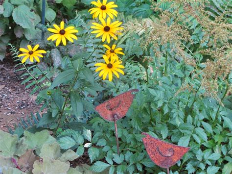 Birds, Blooms, Books, etc: Maryland State Flower