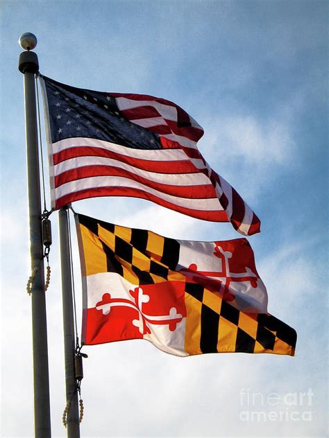 Maryland Flag Wallpaper - WallpaperSafari