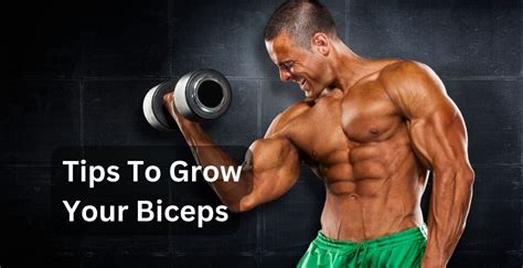 Tips to growing your biceps - Muscleology Sports Nutrition