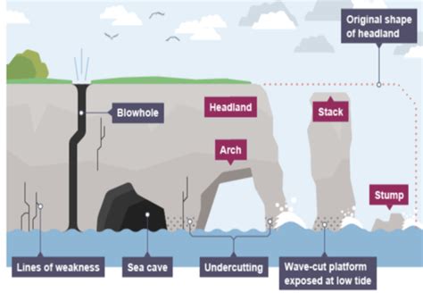 Cave, Arch, Stack Stump Flashcards | Quizlet