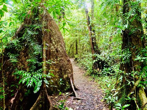 Atherton Tablelands Walking Trails - Explore this stunning region