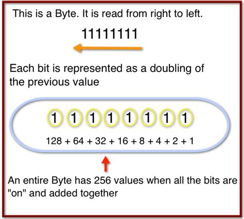 How to read binary numbers